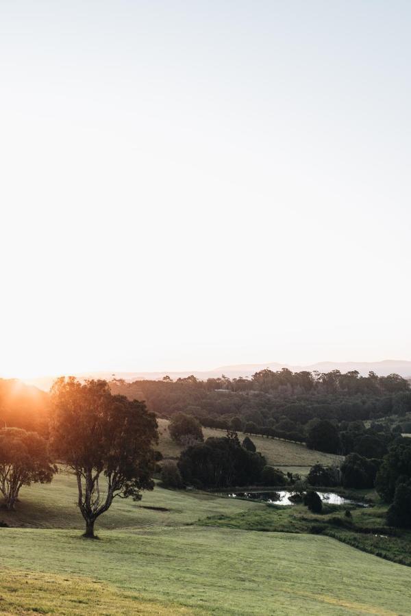 The Brooklet Villa Byron Bay Eksteriør billede